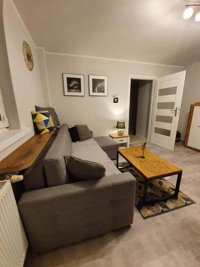 Apartament 27 Płock Dış mekan fotoğraf