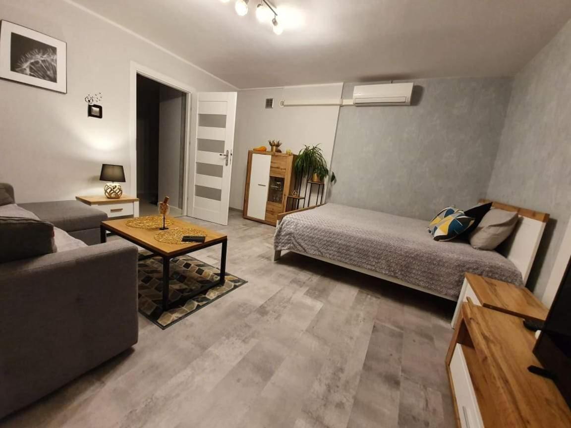 Apartament 27 Płock Dış mekan fotoğraf